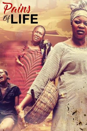 Pains Of Life 2's Poster