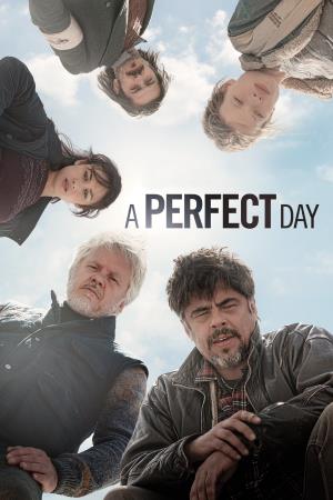 A Perfect Day's Poster