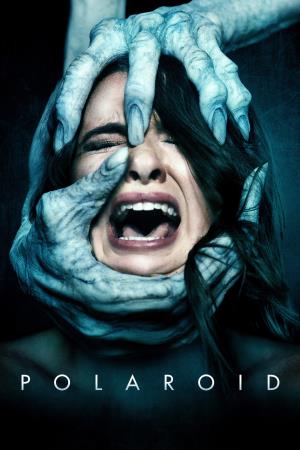 Polaroid's Poster