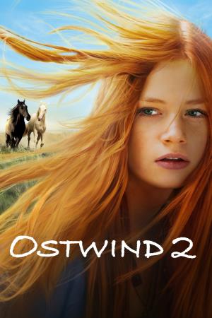 Windstorm 2's Poster