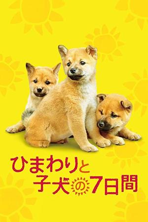 7 Days Of Himawari & Her Puppies's Poster