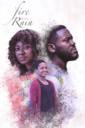 A Fire In The Rain's Poster