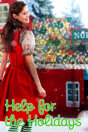 Help for the Holidays's Poster