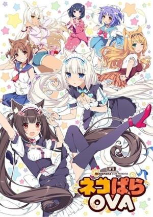 NEKOPARA's Poster