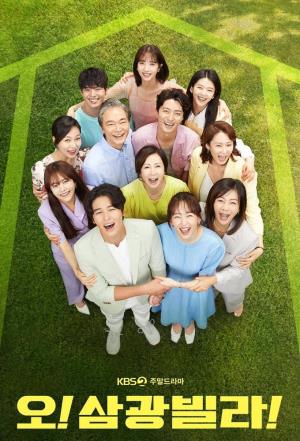 Homemade Love Story's Poster