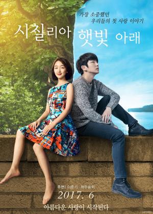 Never Said Goodbye's Poster