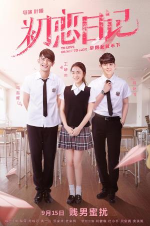To Love or Not to Love's Poster