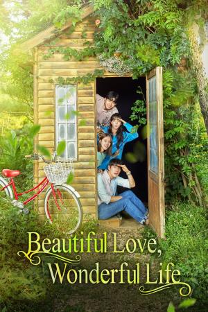  Beautiful Love, Wonderful Life's Poster