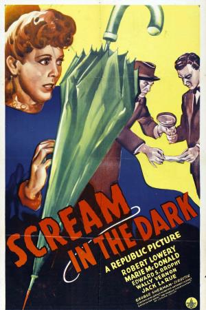 Scream in The Dark's Poster