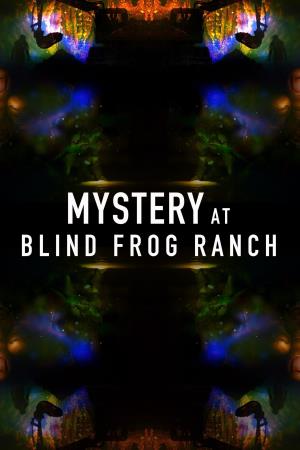 Mystery At Blind Frog Ranch's Poster
