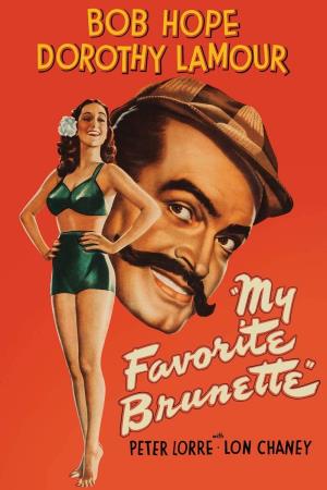 My Favorite Brunette's Poster