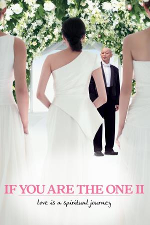  If You Are the One 2's Poster