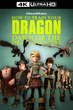 DAWN OF THE DRAGON RACERS's Poster