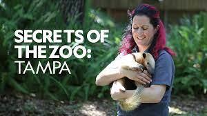 Secrets Of The Zoo: Tampa's Poster