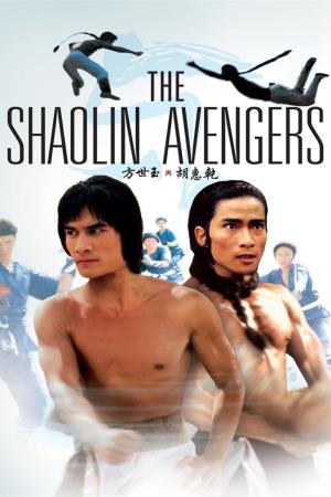 The Shaolin Avengers's Poster