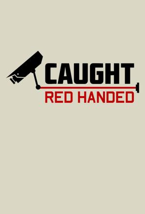 Caught Red Handed's Poster
