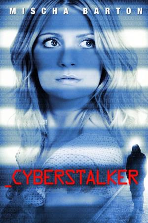 Cyberstalker's Poster