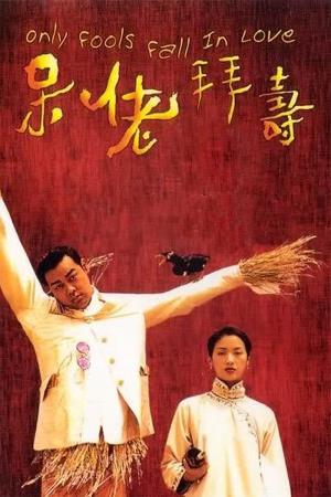 Only Fools Fall in Love's Poster