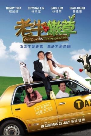  Old Cow VS Tender Grass's Poster