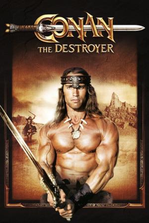Conan The Destroyer's Poster
