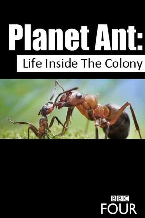 Planet Ant: Life Inside the Colony's Poster