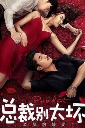 Contract Wife's Poster