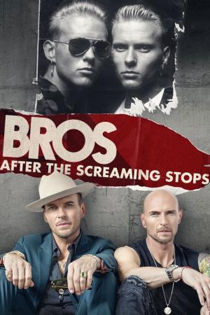 Bros: After the Screaming Stops's Poster