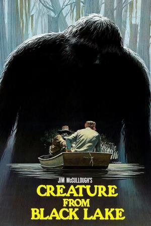 Black Lake's Poster