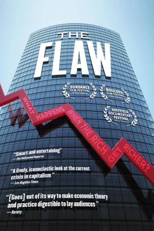The Flaw's Poster