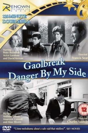 Danger By My Side's Poster
