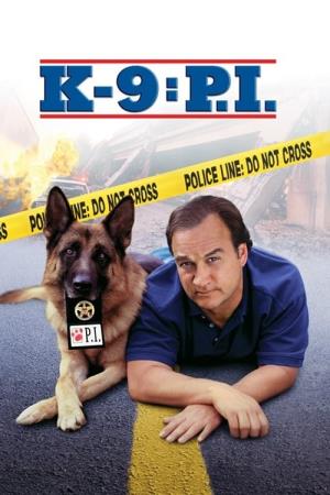 P.I.'s Poster
