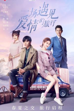  A Journey To Meet Love's Poster