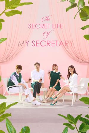 THE SECRET LIFE OF MY SECRETARY's Poster
