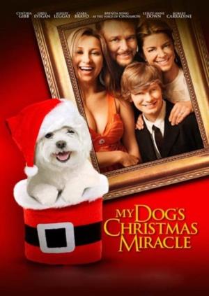Christmas Miracle's Poster