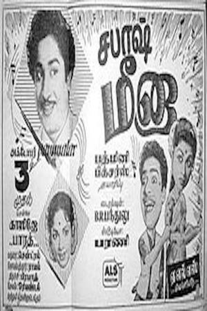 Sabash Meena's Poster