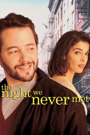 The Night We Never Met's Poster