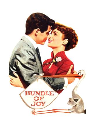Bundle Of Joy's Poster