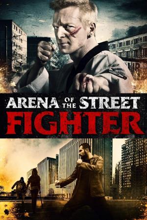 Arena Of The Street Fighter's Poster