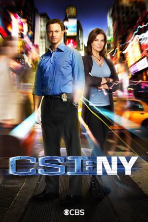 Csi: Ny 's Poster