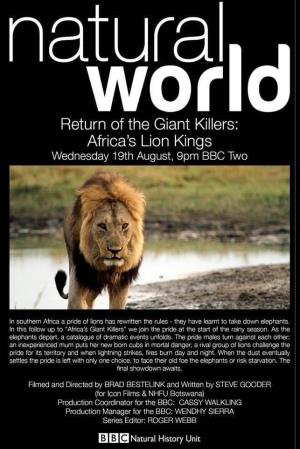 Africa's Lion Kings's Poster