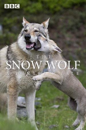 The Snow Wolf: A Winter's Tale's Poster
