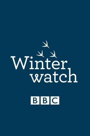 Winterwatch's Poster