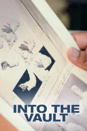 Into The Vault's Poster