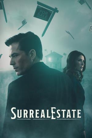 SurrealEstate's Poster