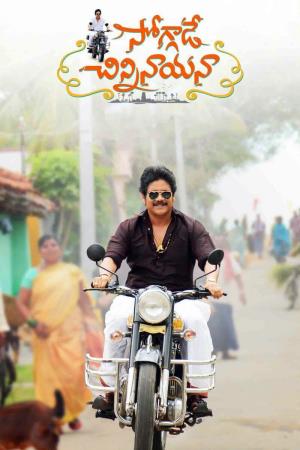 Sokkali's Poster