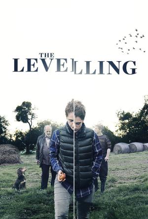 The Levelling's Poster