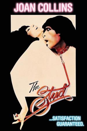 The Stud's Poster
