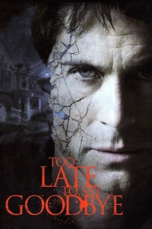 Too Late to Say Goodbye's Poster