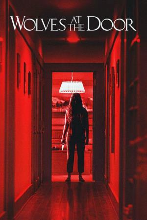 The Door's Poster