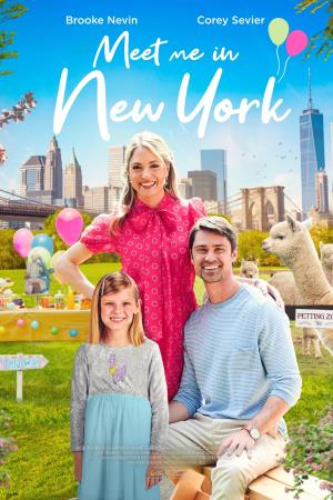 Meet Me In New York's Poster